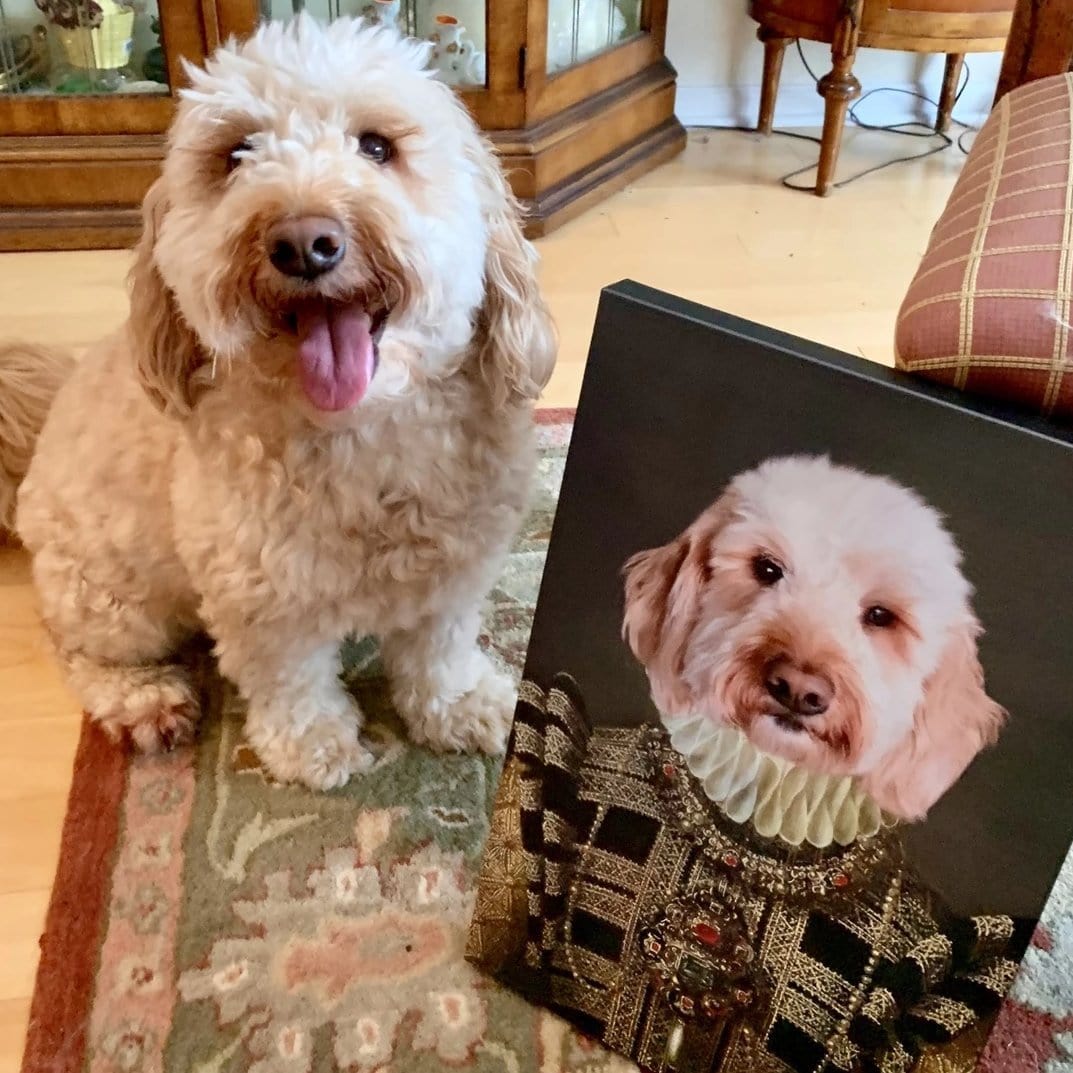 Crown and Paw - Canvas The Dame - Custom Pet Canvas