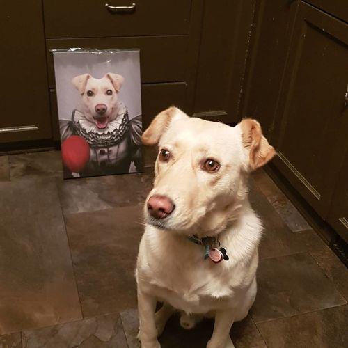 Crown and Paw - Canvas The Pennywise - Custom Pet Canvas