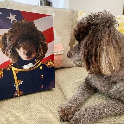 The Admiral - USA Flag Edition - Custom Pet Canvas
