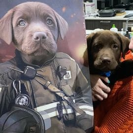 Crown and Paw - Canvas The Firefighter - Custom Pet Canvas