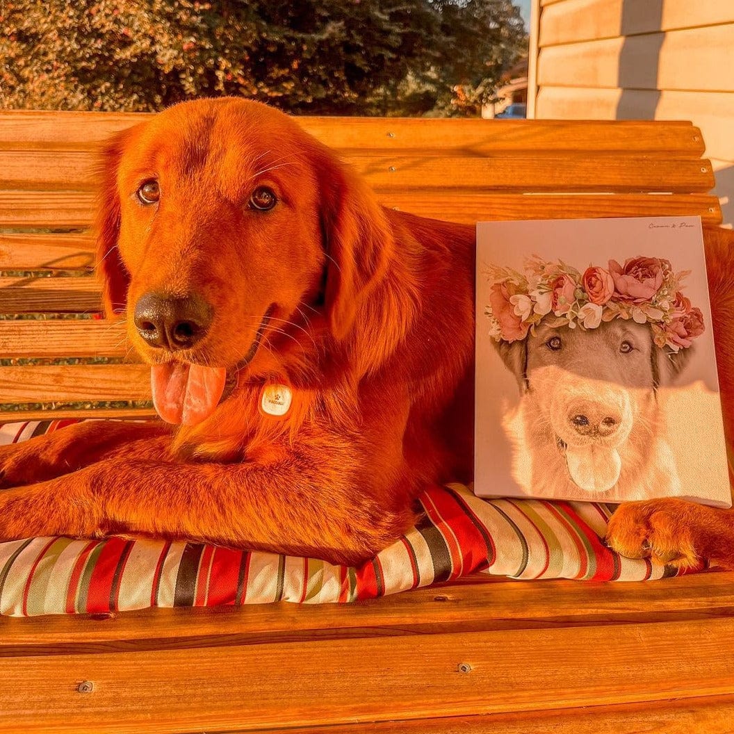Crown and Paw - Canvas Floral Crown Pet Portrait - Custom Canvas