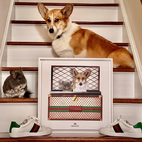 Crown and Paw - Boujee Luxury Trunk Pet Portrait
