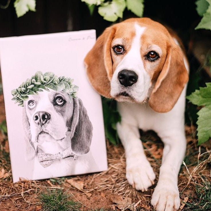 Crown and Paw - Canvas Roman Crown Pet Portrait - Custom Canvas