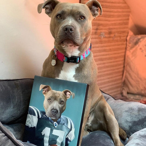 Crown and Paw - Canvas The Football Player - Custom Pet Canvas