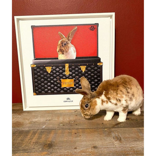 Crown and Paw - Black and Gold Luxury Trunk Pet Portrait