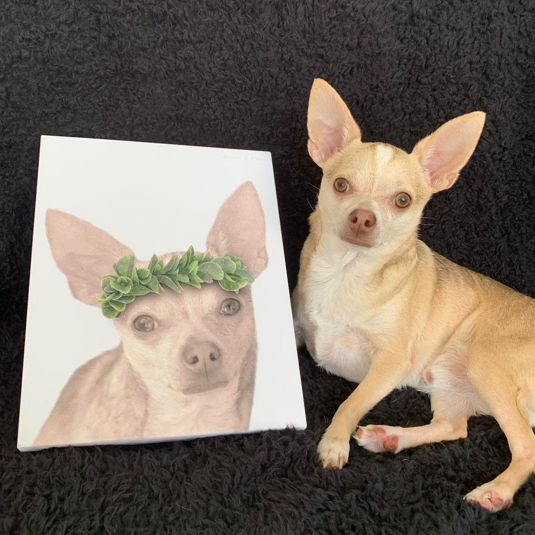 Roman Crown Pet Portrait - Custom Canvas