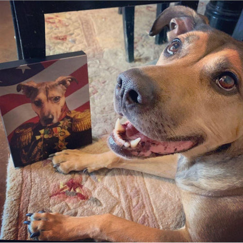 Crown and Paw - Canvas The Veteran - USA Flag Edition - Custom Pet Canvas