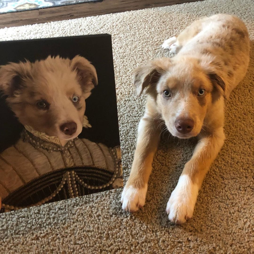 Crown and Paw - Canvas The Pearled Lady - Custom Pet Canvas