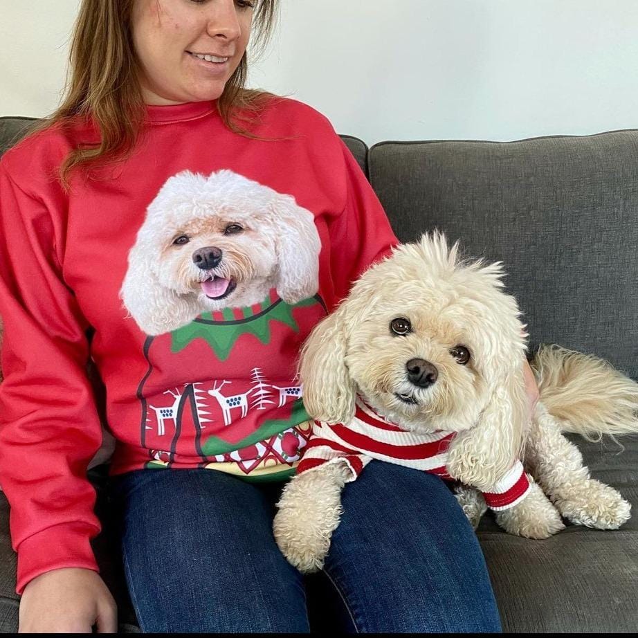 Christmas Sweater and Socks Bundle