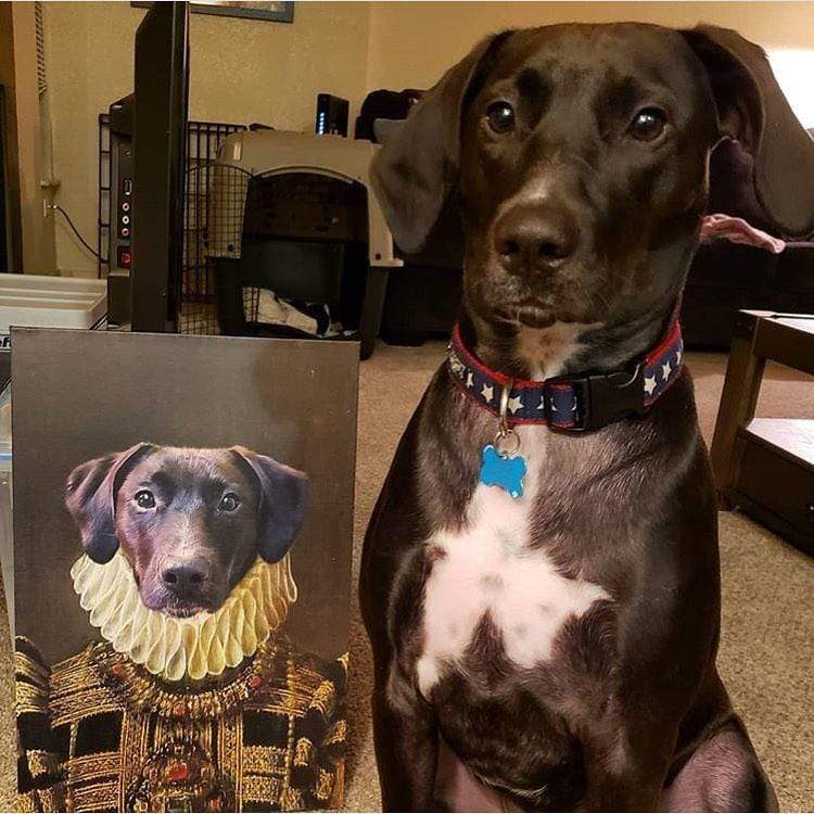 Crown and Paw - Canvas The Dame - Custom Pet Canvas