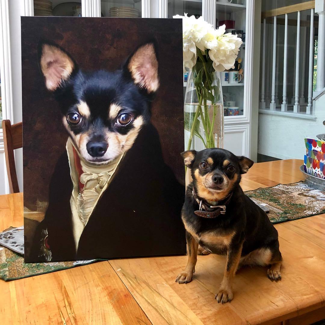 The Count - Custom Pet Canvas