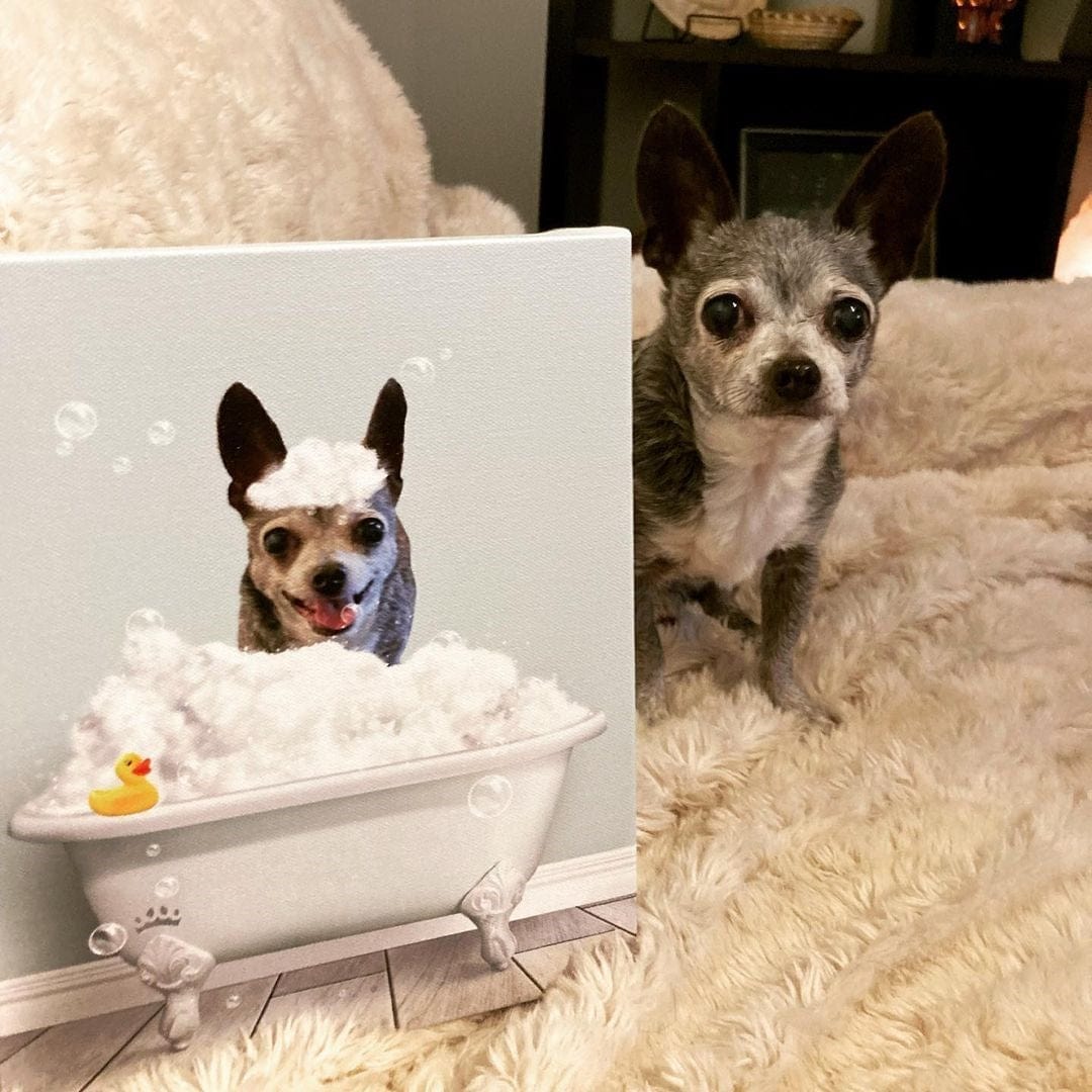 Crown and Paw - Canvas Bath Tub Pet Portrait (One Pet) - Custom Pet Art