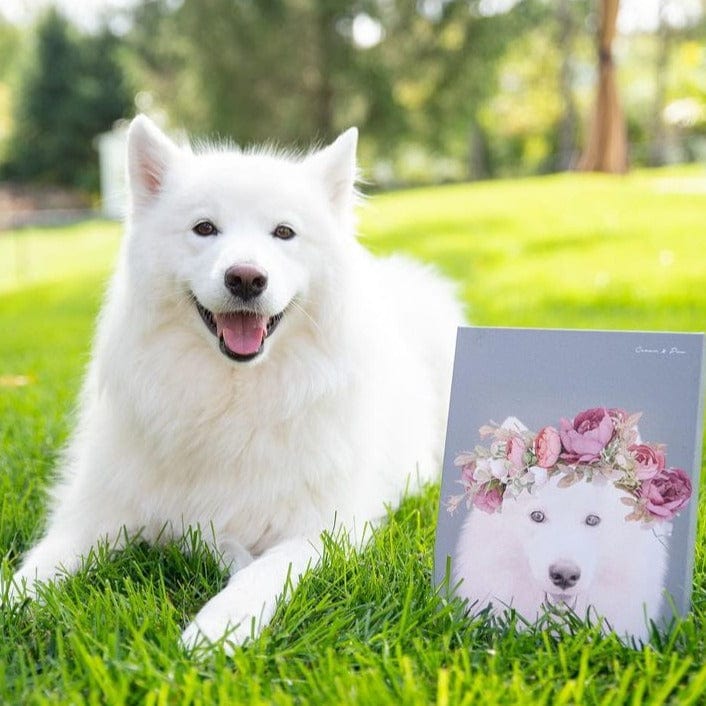 Crown and Paw - Canvas Floral Crown Pet Portrait - Custom Canvas