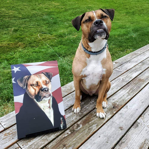 Crown and Paw - Canvas The Ambassador - USA Flag Edition - Custom Pet Canvas