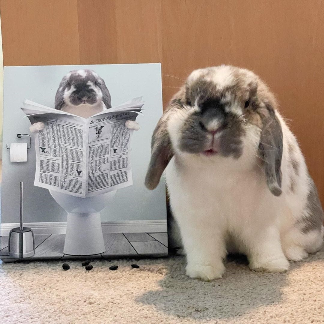 Crown and Paw - Canvas Restroom Pet Portrait - Custom Pet Art