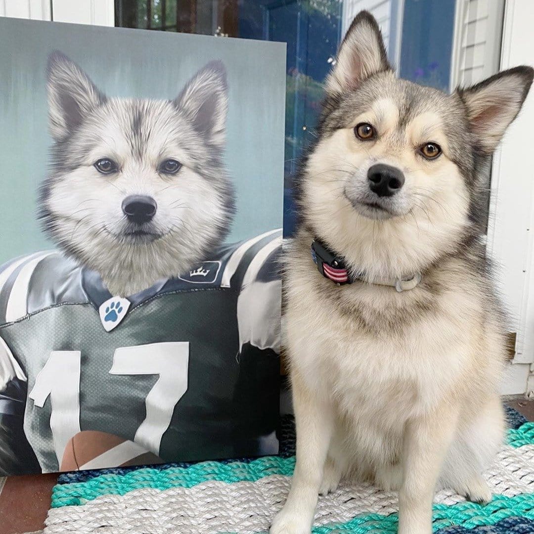 The Football Player - Custom Pet Canvas