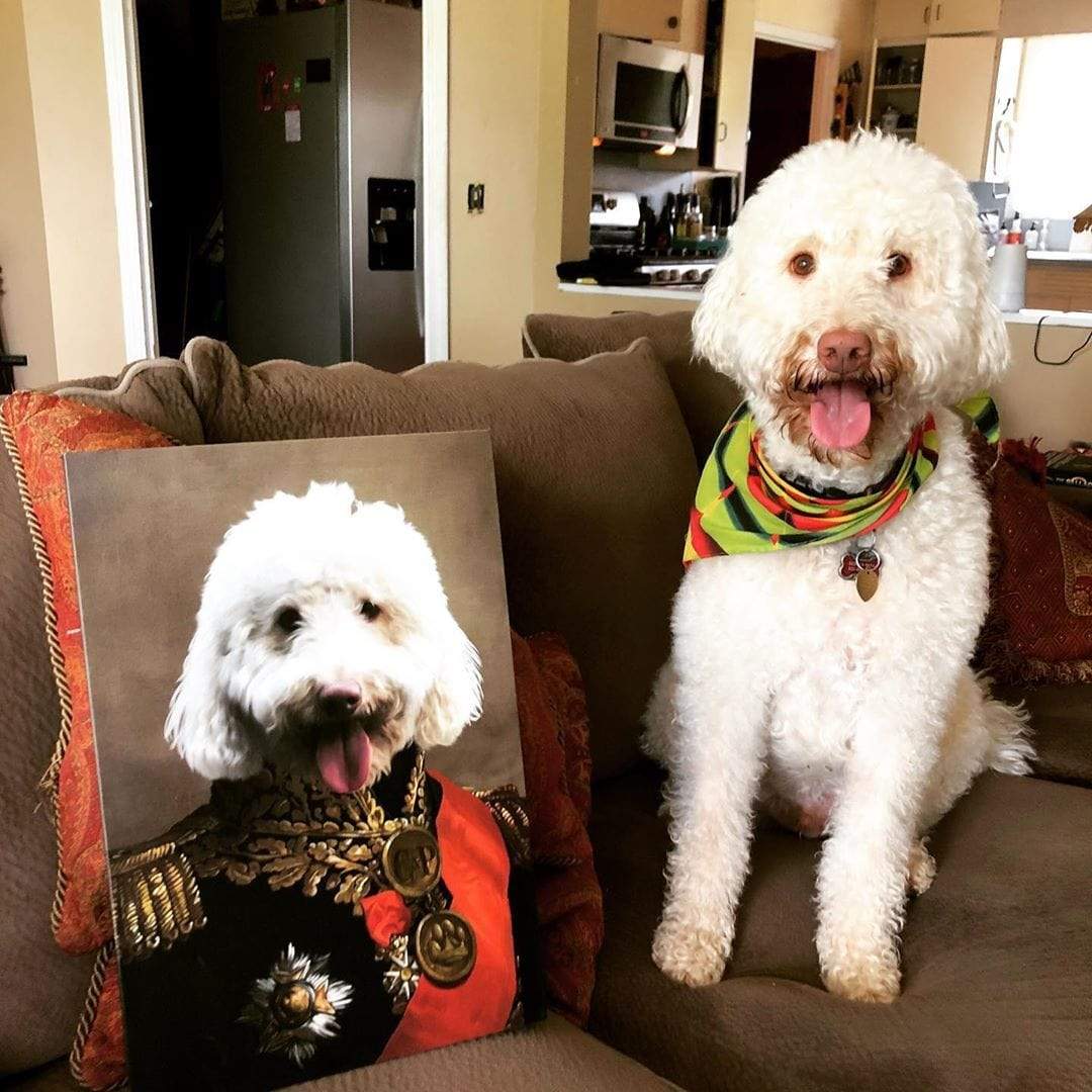 Crown and Paw - Canvas The Major - Custom Pet Canvas