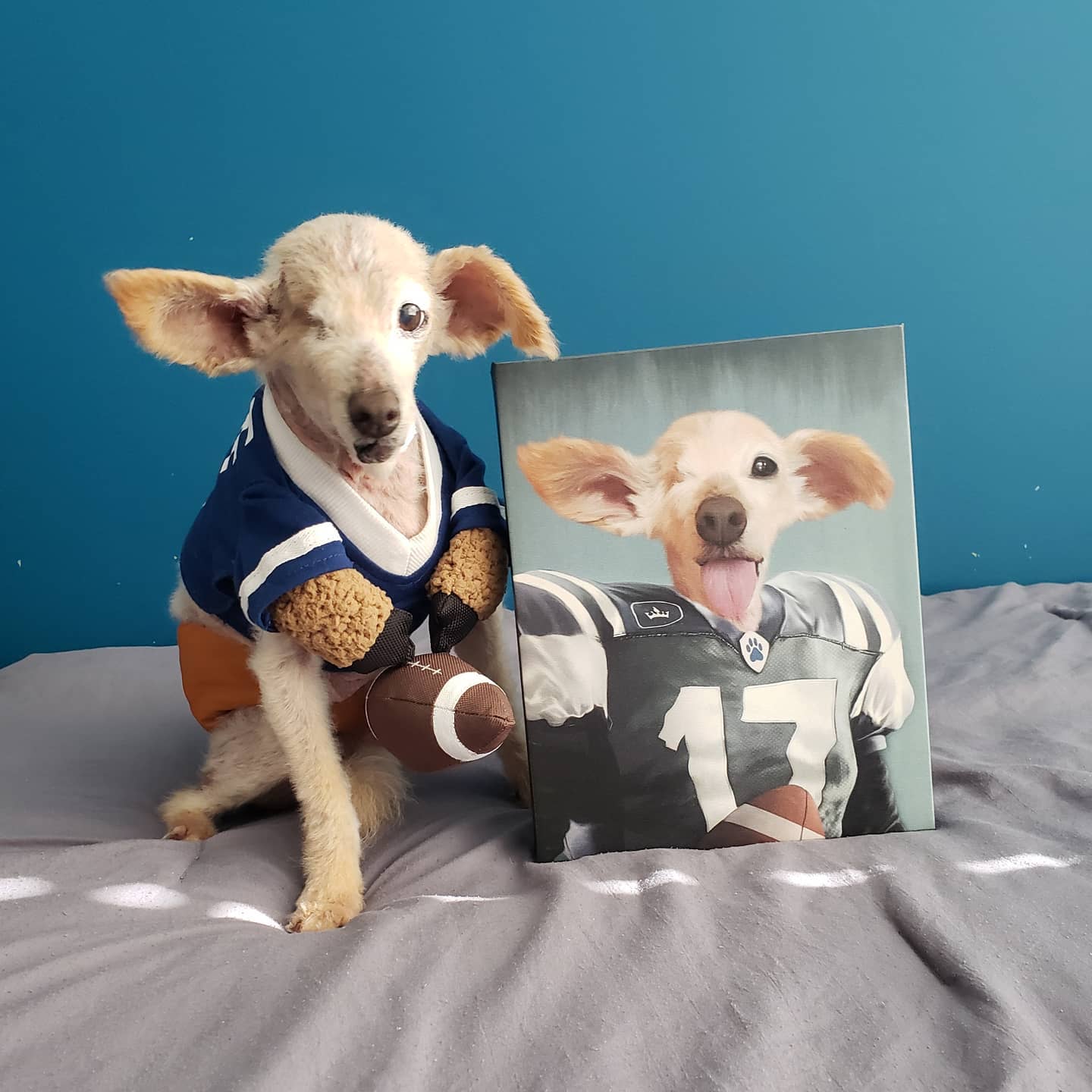 The Football Player - Custom Pet Canvas