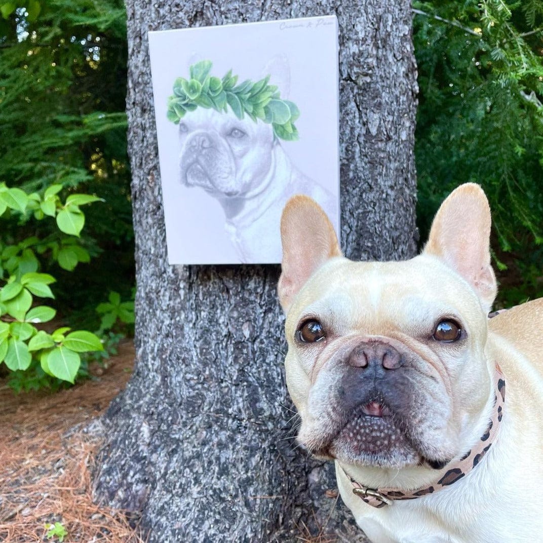 Crown and Paw - Canvas Roman Crown Pet Portrait - Custom Canvas 8" x 10" / White