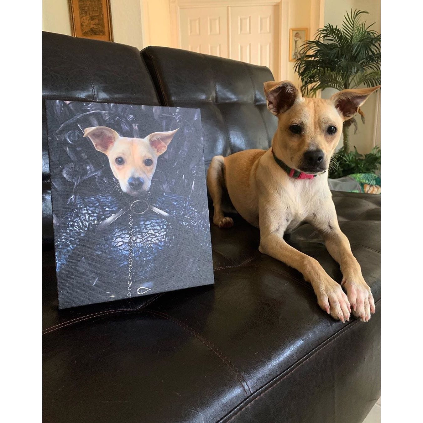 Crown and Paw - Canvas The Lady of the North - Custom Pet Canvas