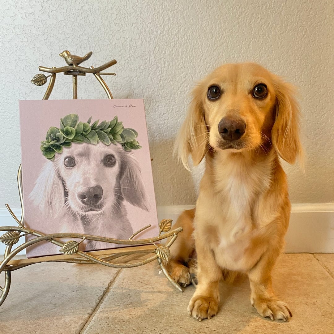Crown and Paw - Canvas Roman Crown Pet Portrait - Custom Canvas