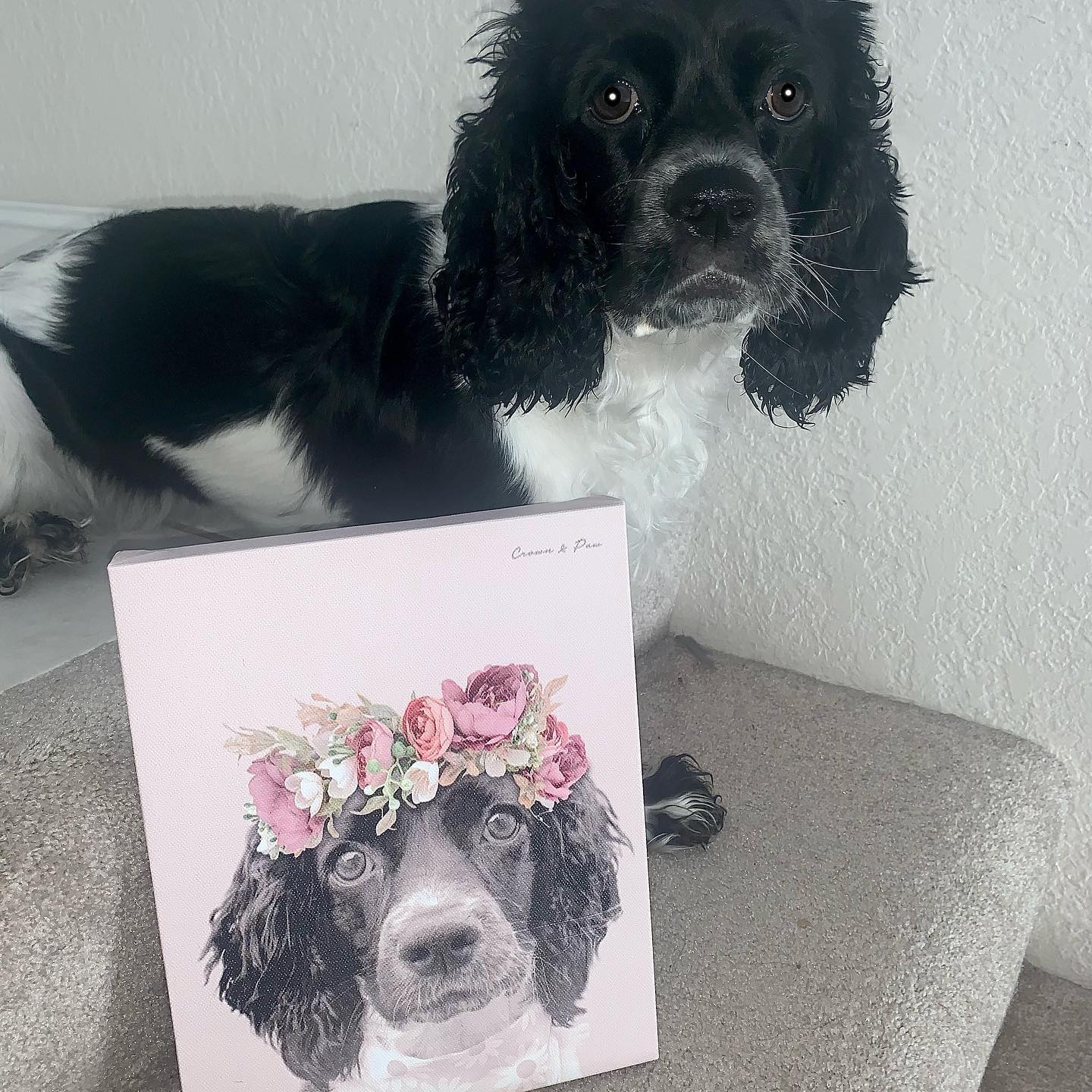 Crown and Paw - Canvas Floral Crown Pet Portrait - Custom Canvas
