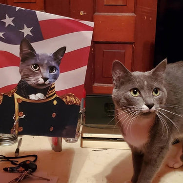The Admiral - USA Flag Edition - Custom Pet Canvas
