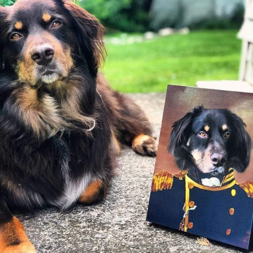 Crown and Paw - Canvas The Admiral - Custom Pet Canvas