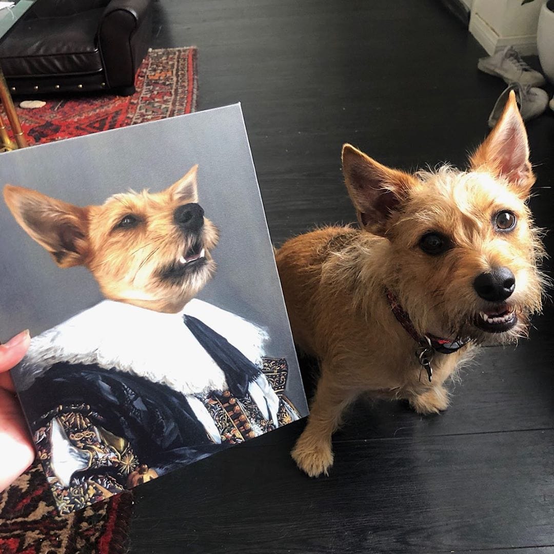 Crown and Paw - Canvas The Laughing Cavalier - Custom Pet Canvas