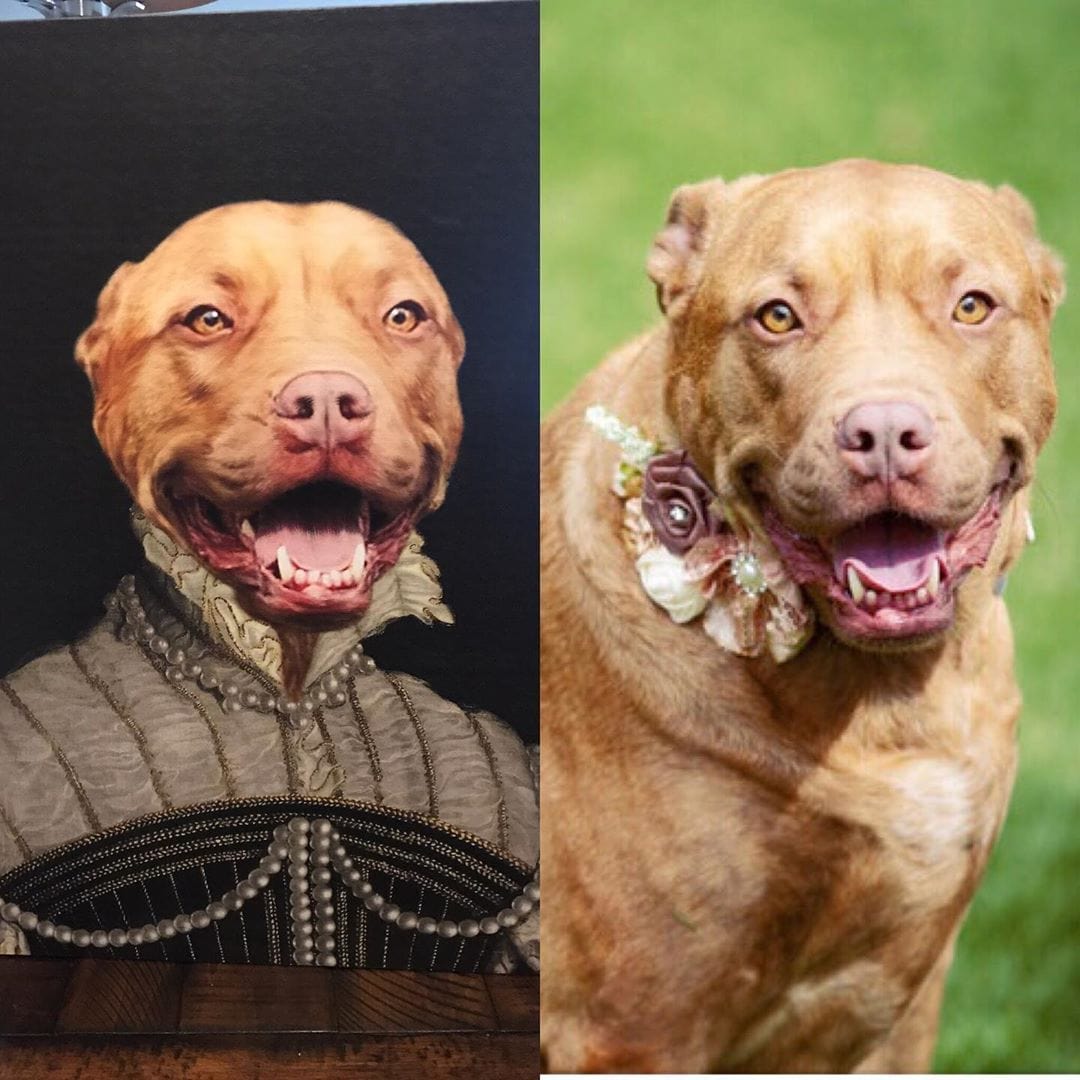 Crown and Paw - Canvas The Pearled Lady - Custom Pet Canvas