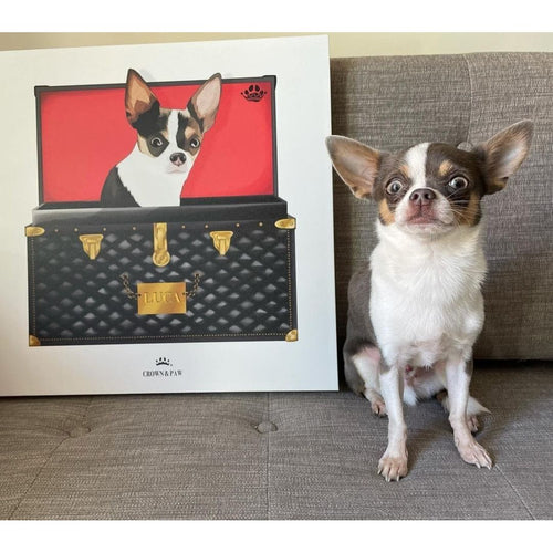 Crown and Paw - Black and Gold Luxury Trunk Pet Portrait