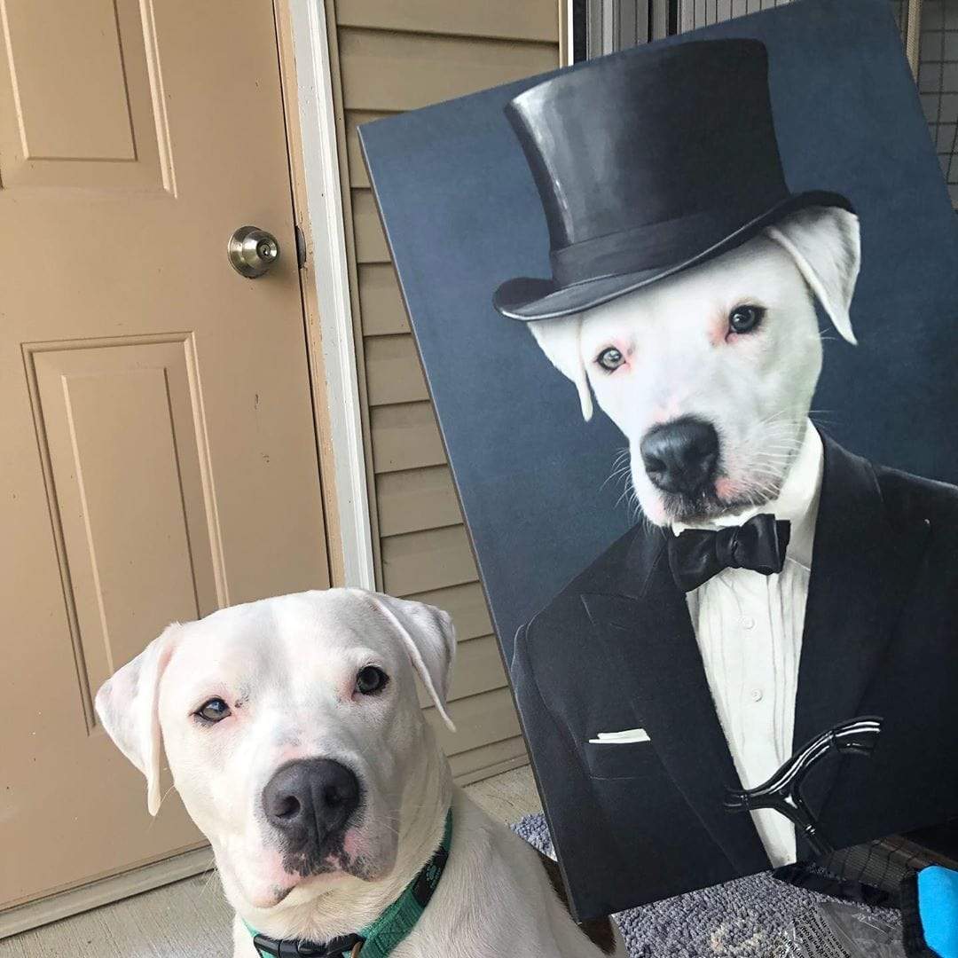 Crown and Paw - Canvas The Gentleman - Custom Pet Canvas
