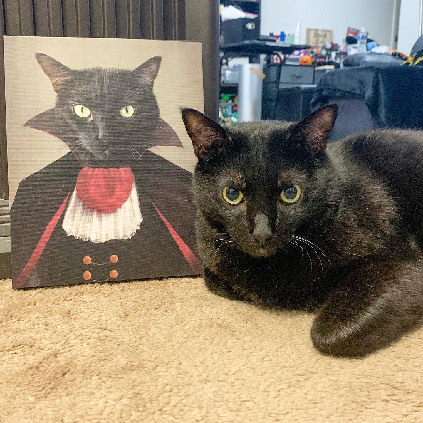 The Vampire - Custom Pet Canvas