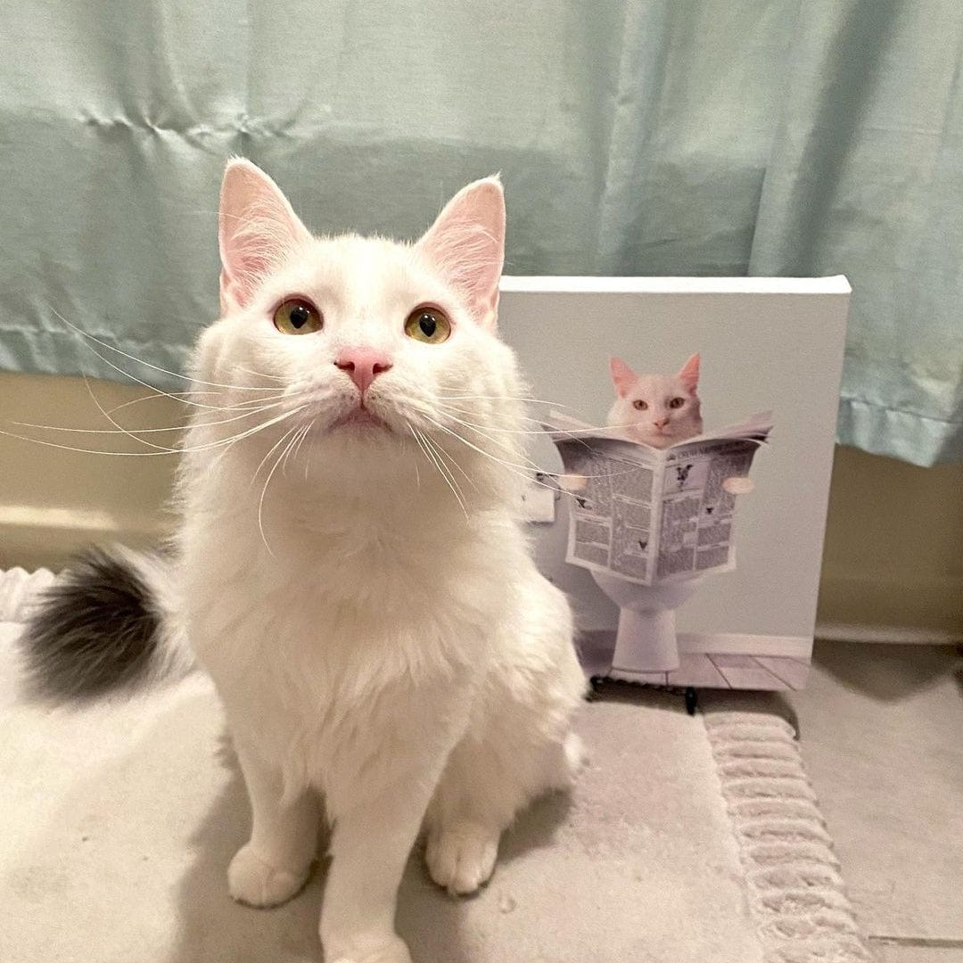 Crown and Paw - Canvas Restroom Pet Portrait - Custom Pet Art