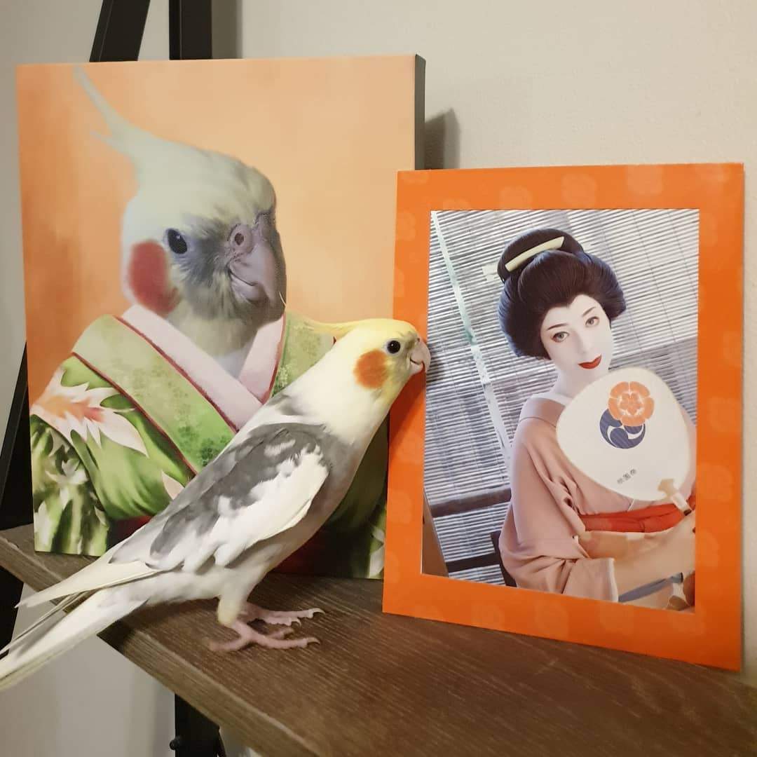 The Geisha - Custom Pet Canvas