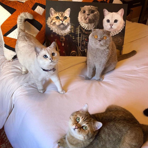 Crown and Paw - Canvas The Three Queens - Custom Pet Canvas