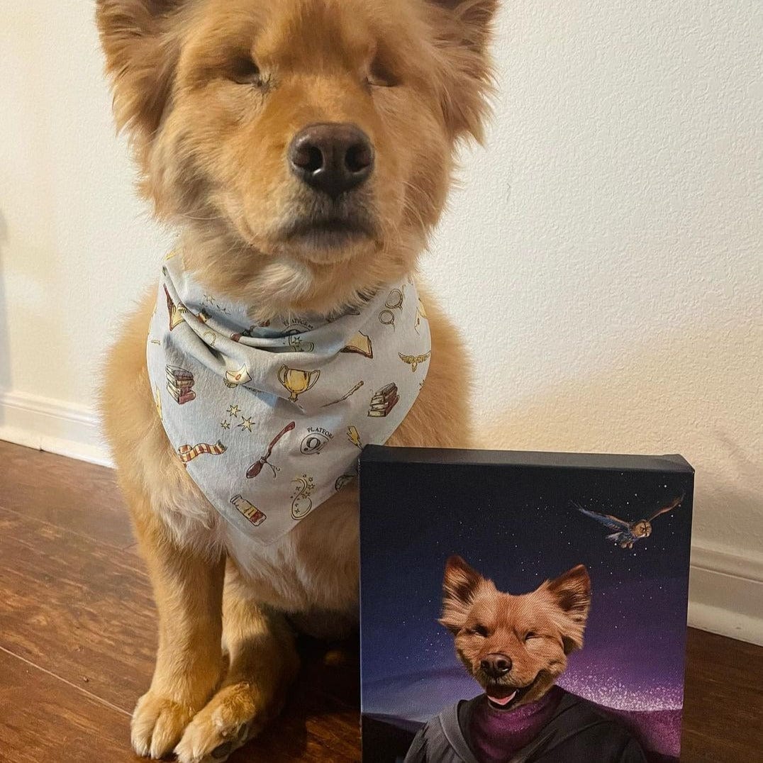 Crown and Paw - Canvas The Wizard - Custom Pet Canvas