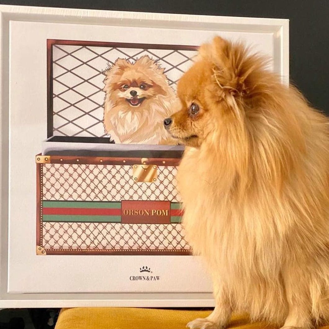 Boujee Luxury Trunk Pet Portrait