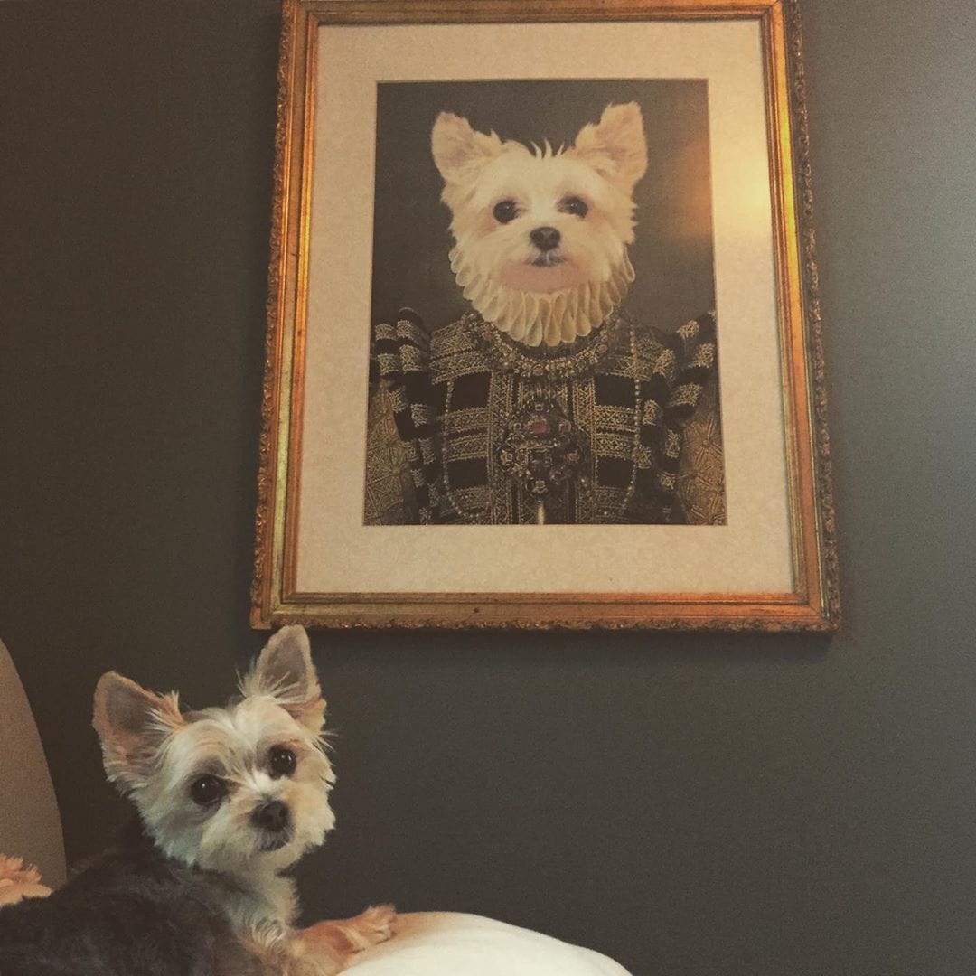 Crown and Paw - Poster The Dame - Custom Pet Poster