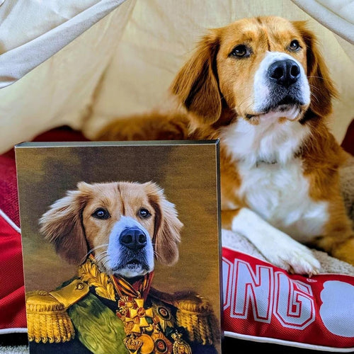 Crown and Paw - Canvas The Colonel - Custom Pet Canvas 8" x 10" / Unframed