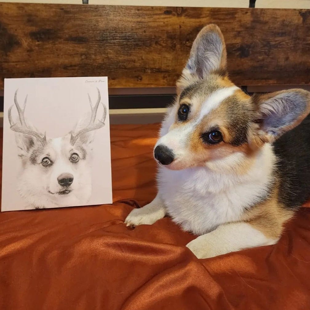 Crown and Paw - Canvas Elk Antlers Pet Portrait - Custom Canvas