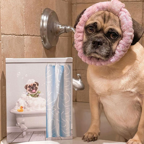 Crown and Paw - Canvas Bath Tub Pet Portrait (One Pet) - Custom Pet Art Canvas 8" x 10" / Mint / With Curtain