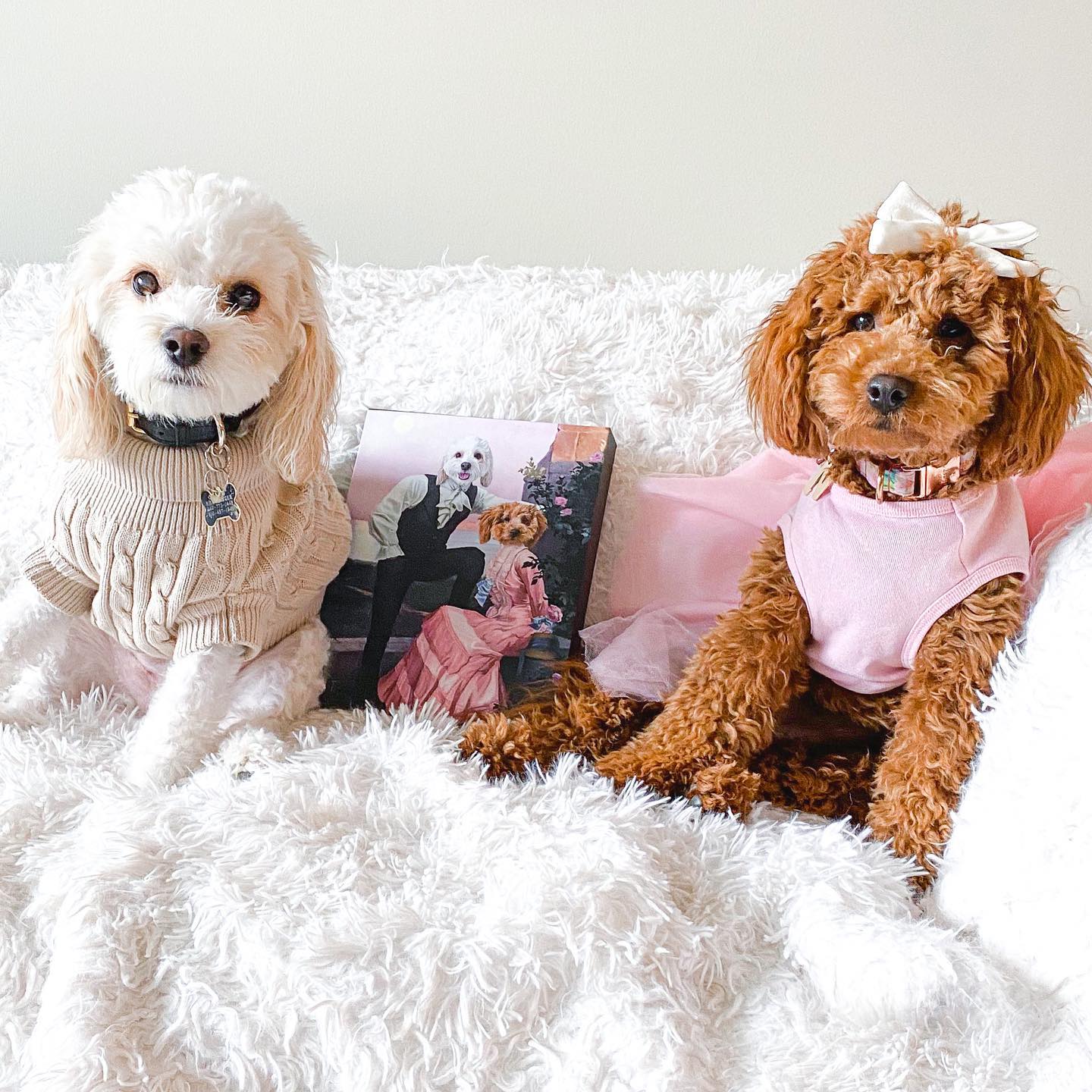 Crown and Paw - Canvas The Smooth Talkers - Custom Pet Canvas