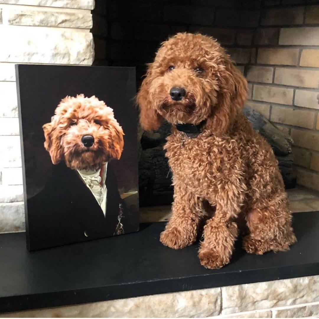 Crown and Paw - Canvas The Count - Custom Pet Canvas