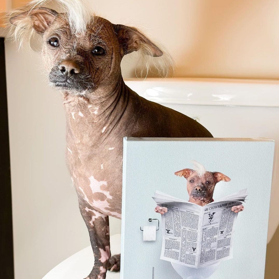 Restroom Pet Portrait - Custom Pet Art
