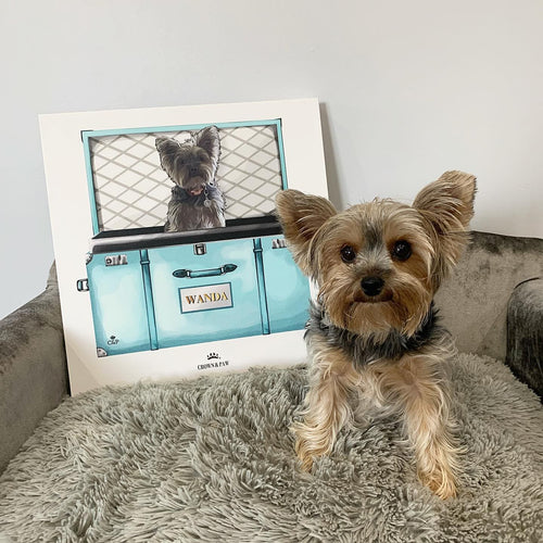 Crown and Paw - Baby Blue Luxury Trunk Pet Portrait
