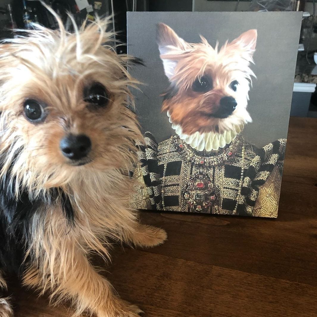 Crown and Paw - Canvas The Dame - Custom Pet Canvas