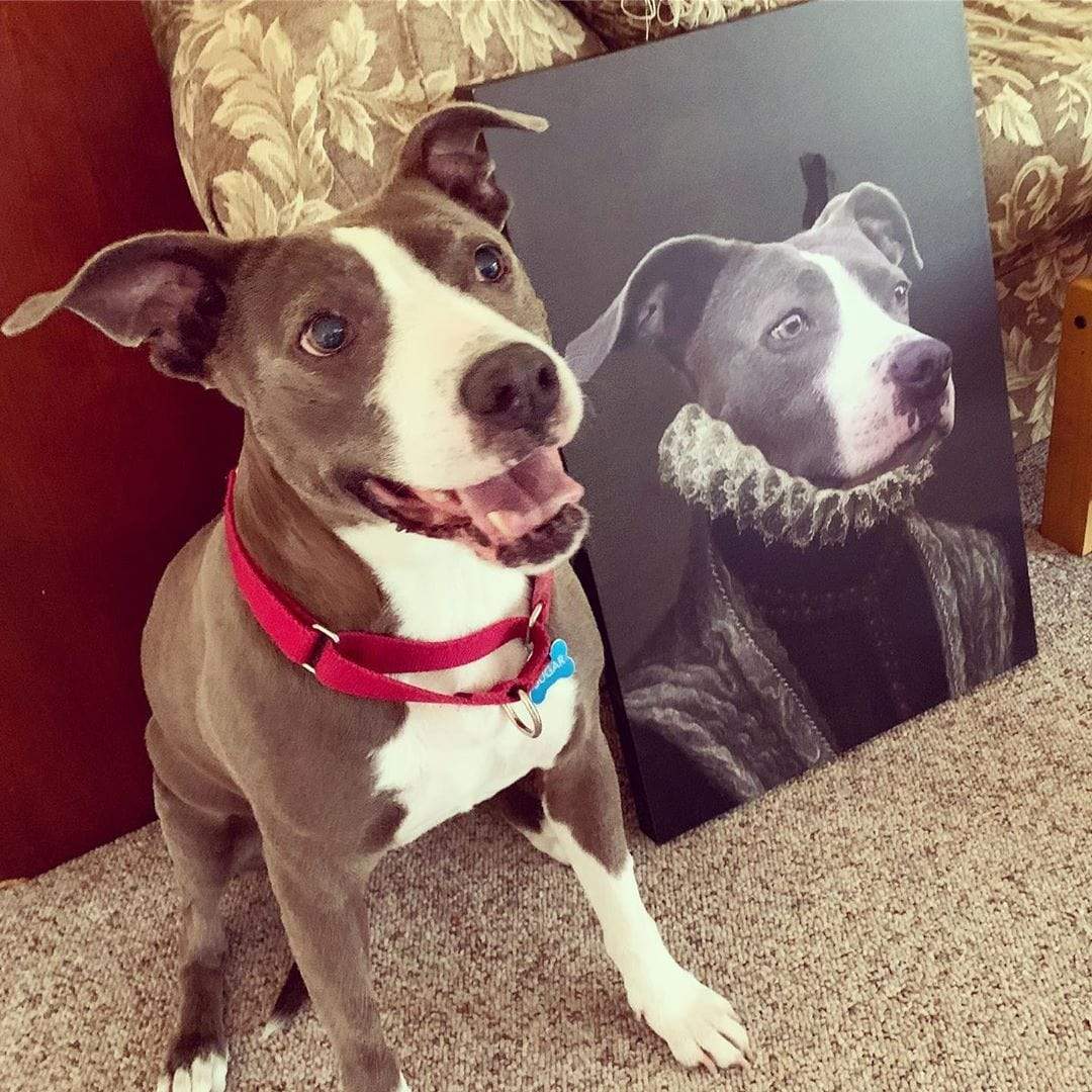 Crown and Paw - Canvas The Countess - Custom Pet Canvas