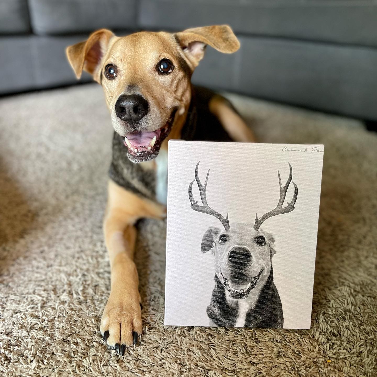 Crown and Paw - Canvas Elk Antlers Pet Portrait - Custom Canvas 8" x 10" / White